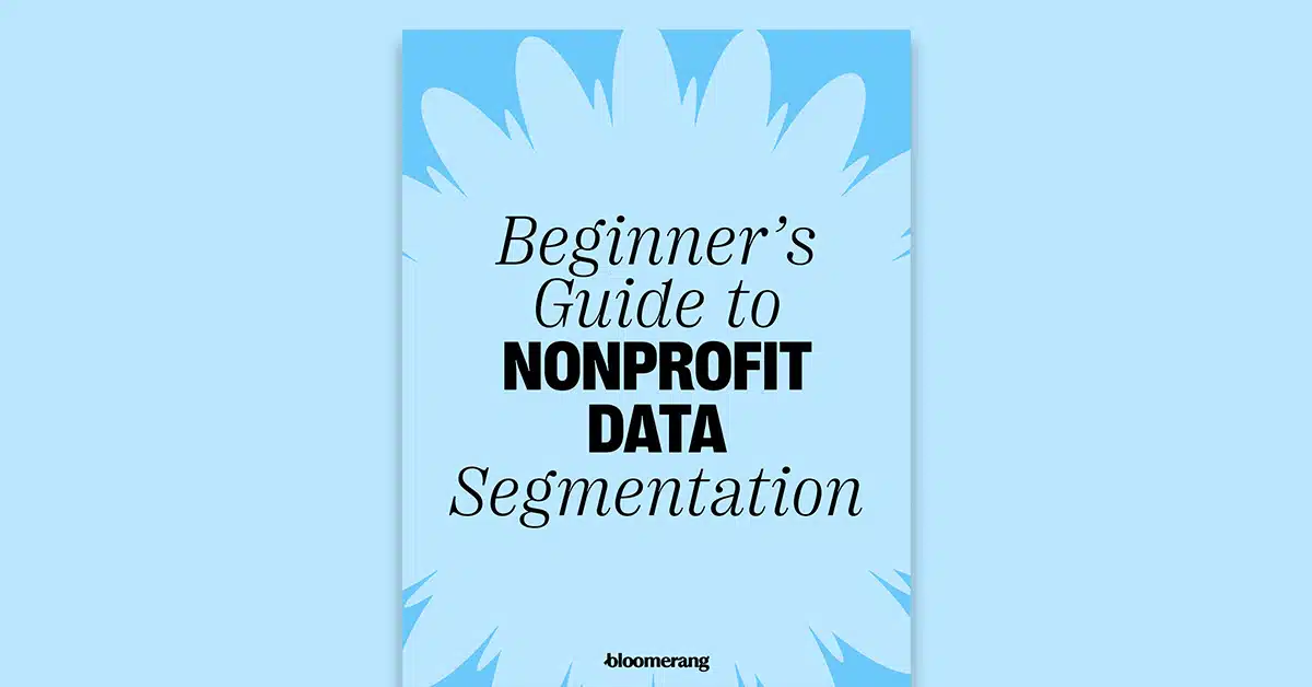 Feature Beginners Guide To Nonprofit Data Segmentation
